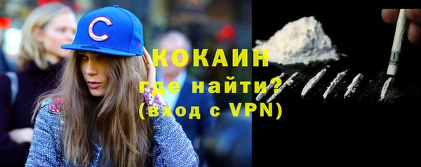 гидра Арсеньев