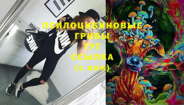 прущие крисы Армянск
