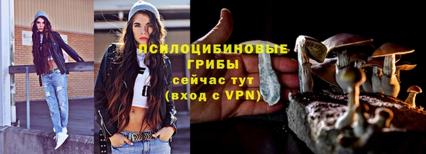 гидра Арсеньев