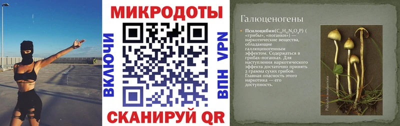 Галлюциногенные грибы мухоморы Зерноград
