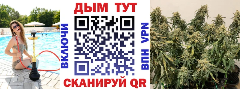 Шишки марихуана AK-47  гидра маркетплейс  Зерноград  где найти  